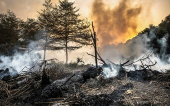 Оценка ущерба после стихийного бедствия в Чебоксарах: отчет оценщика